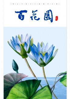 百花园